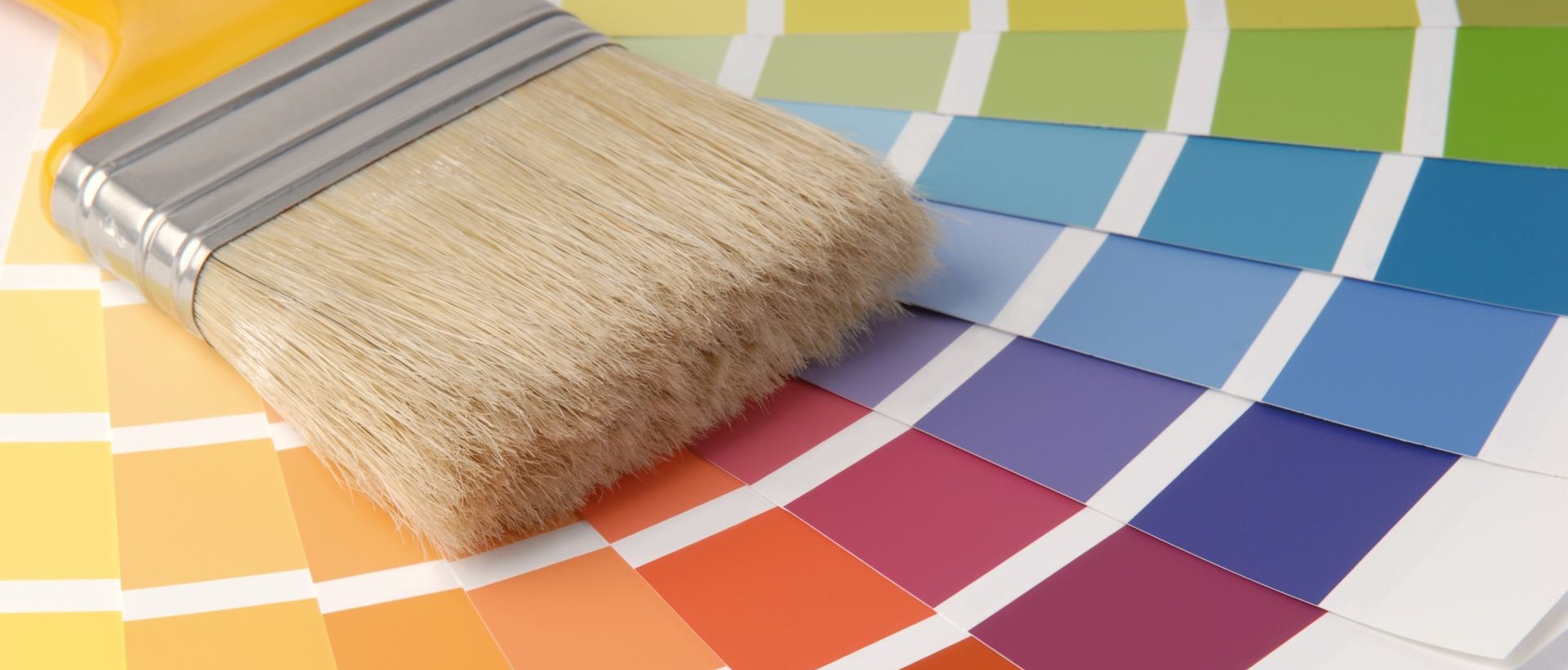 Painter TW8